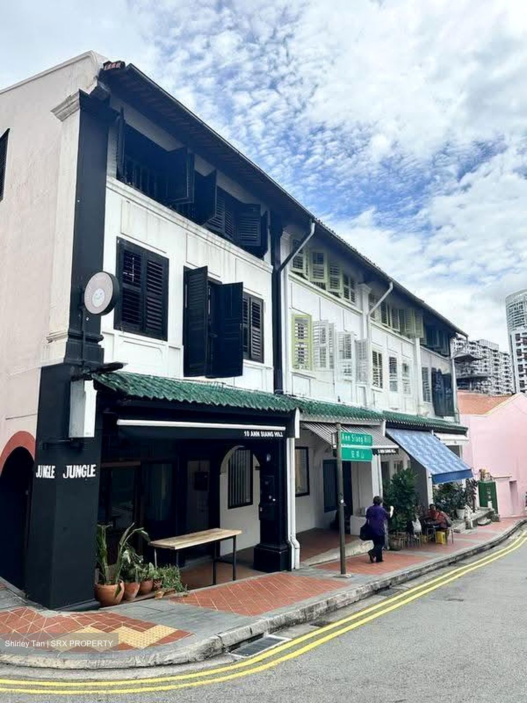 Telok Ayer Conservation Area (D1), Shop House #619855871